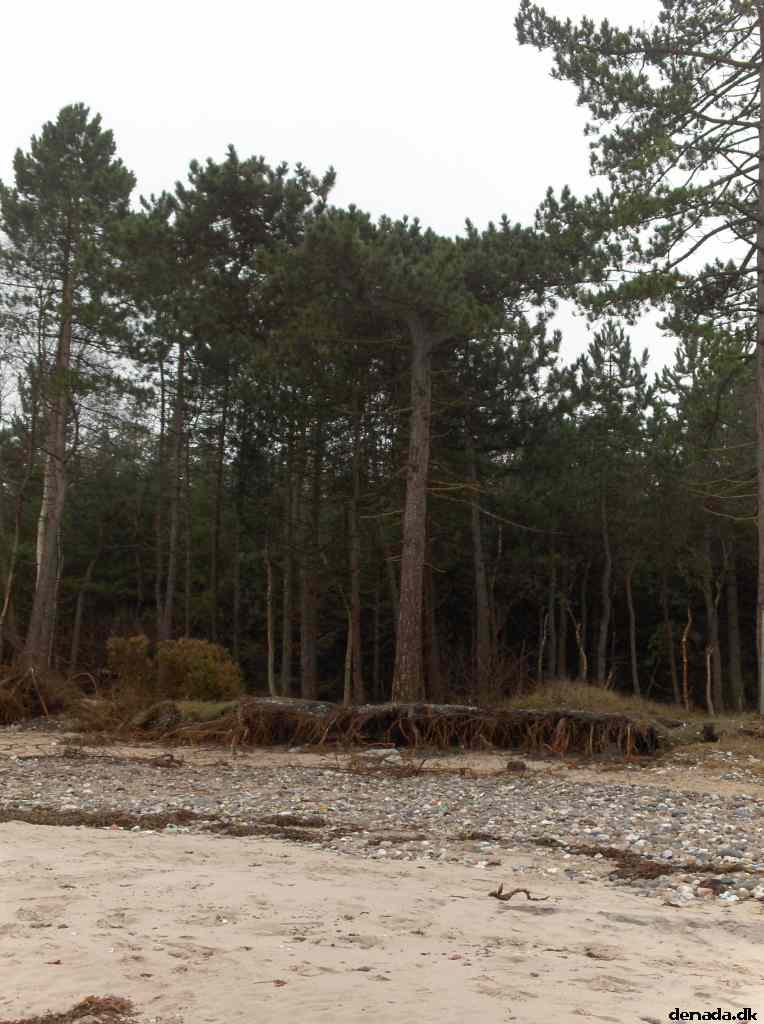 * Image 69