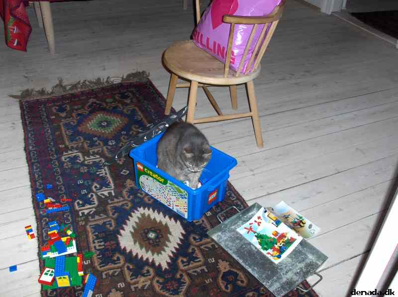 * Image 56