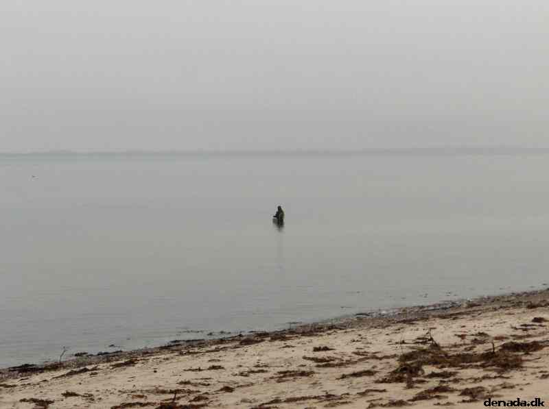 * Image 61