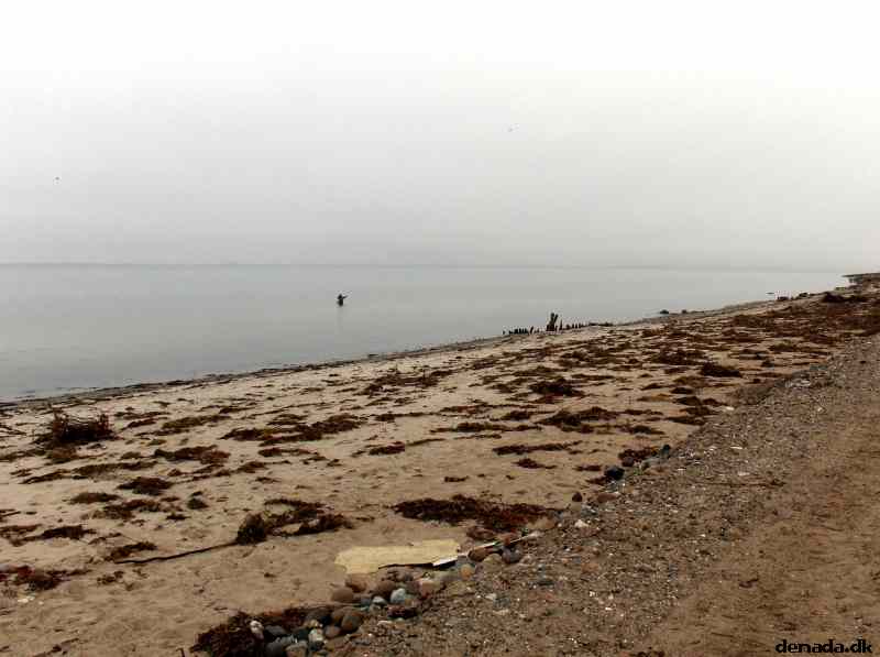* Image 62