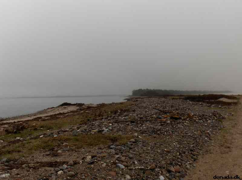 * Image 67