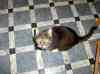 20061224_buster01.jpg - 2006:12:24 10:52:17