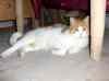 20061224_mis01.jpg - 2006:12:24 10:55:23