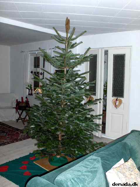 * Image 2