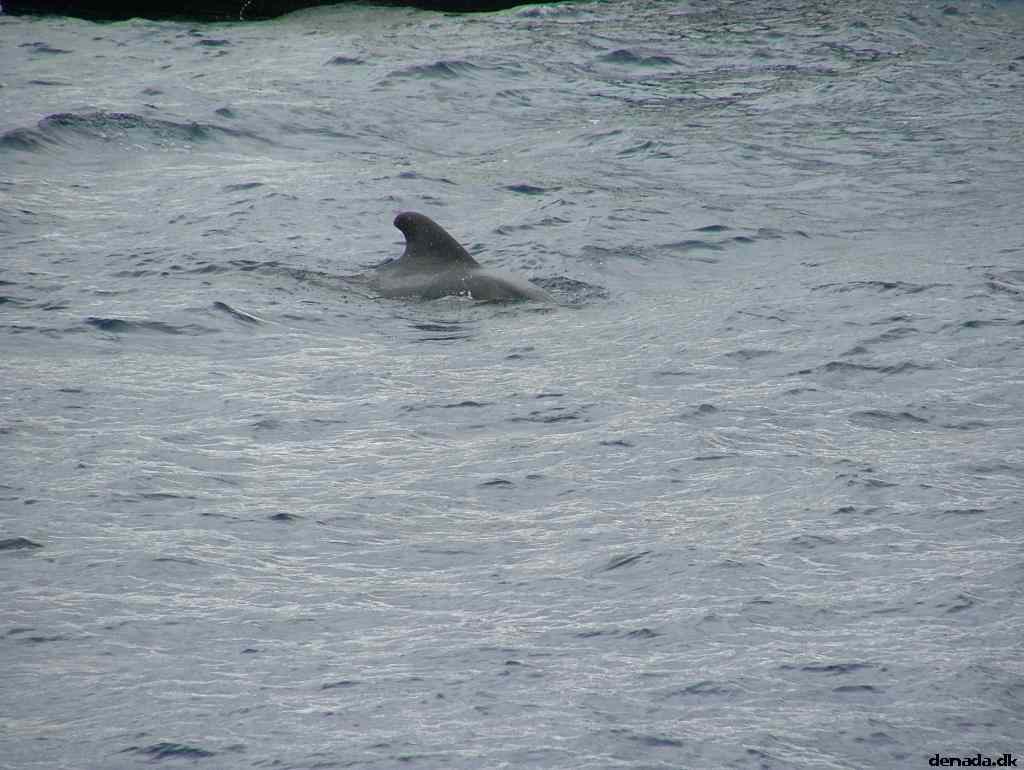 * Image 180
