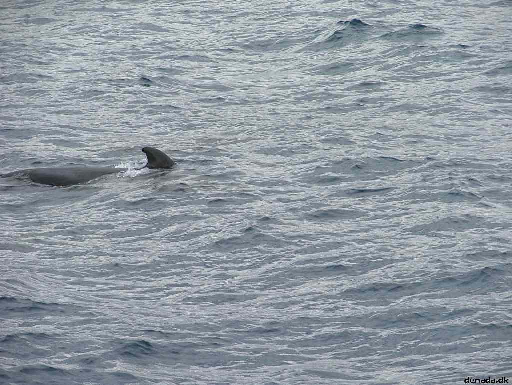 * Image 182