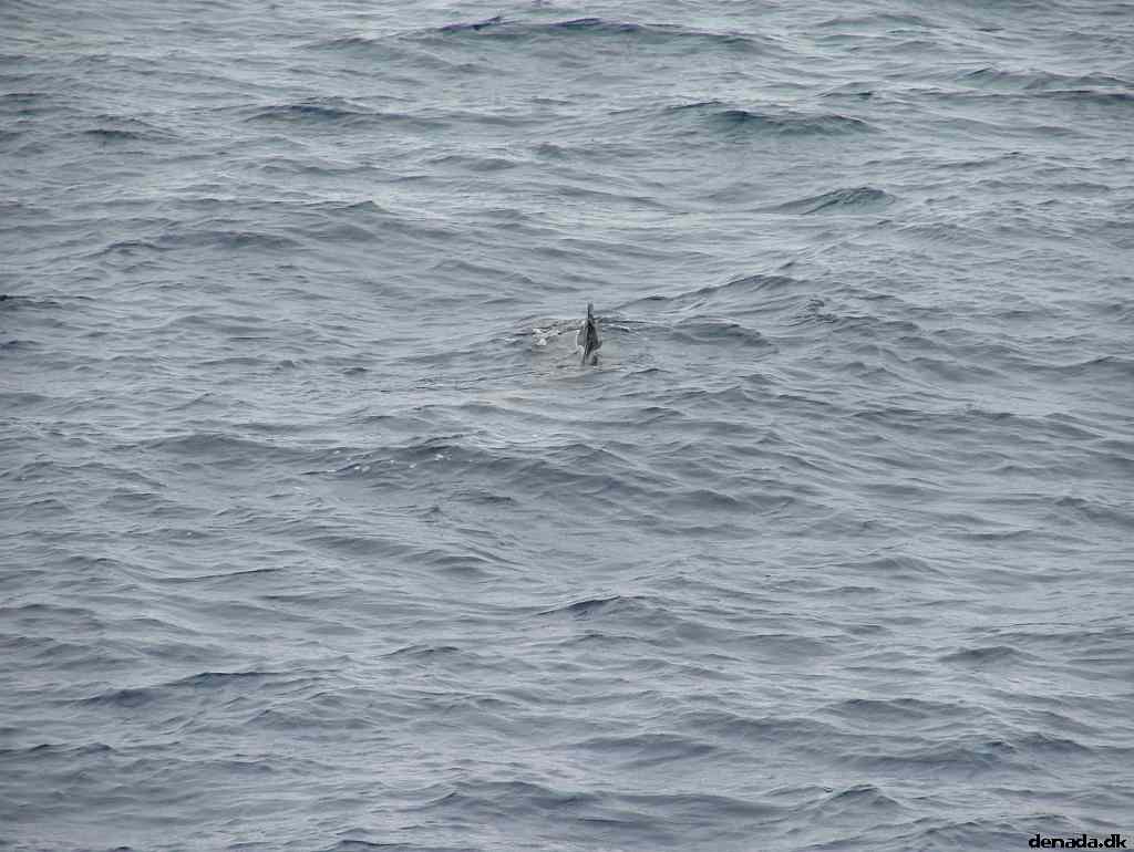 * Image 188