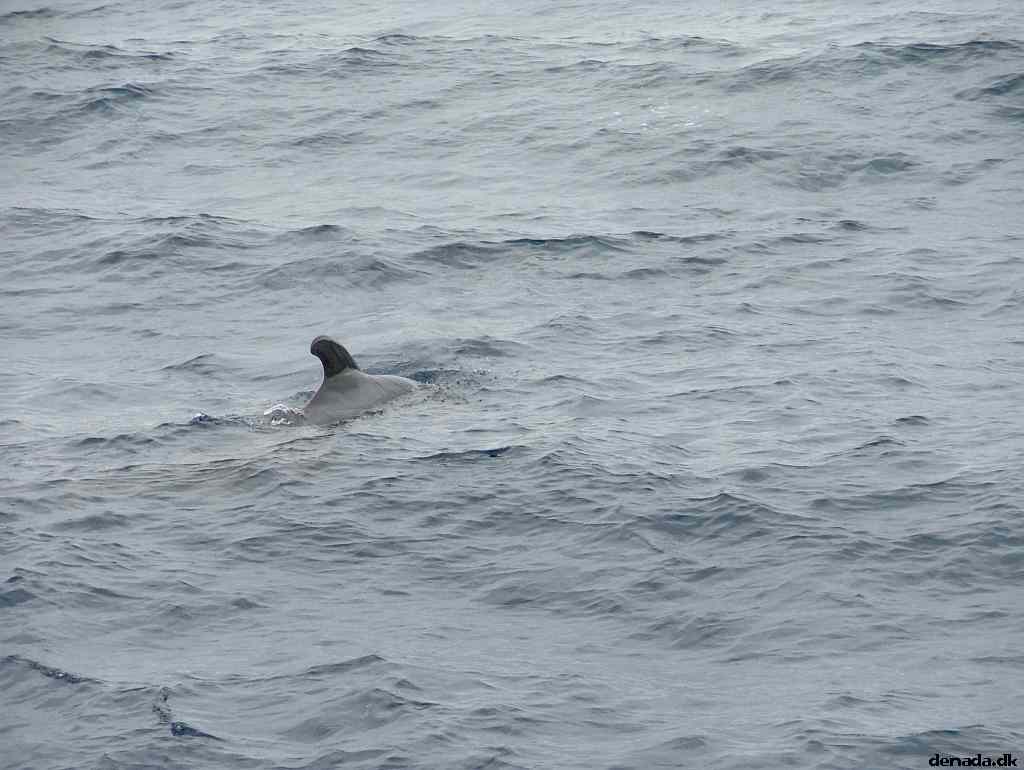 * Image 192