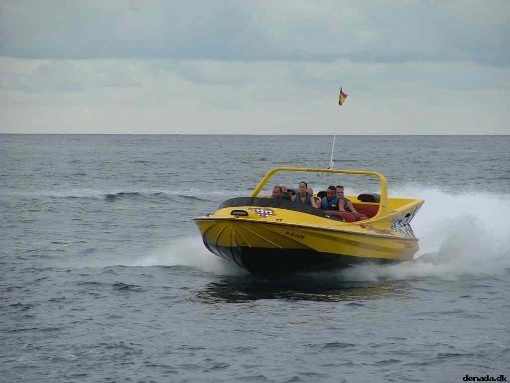 * Image 204