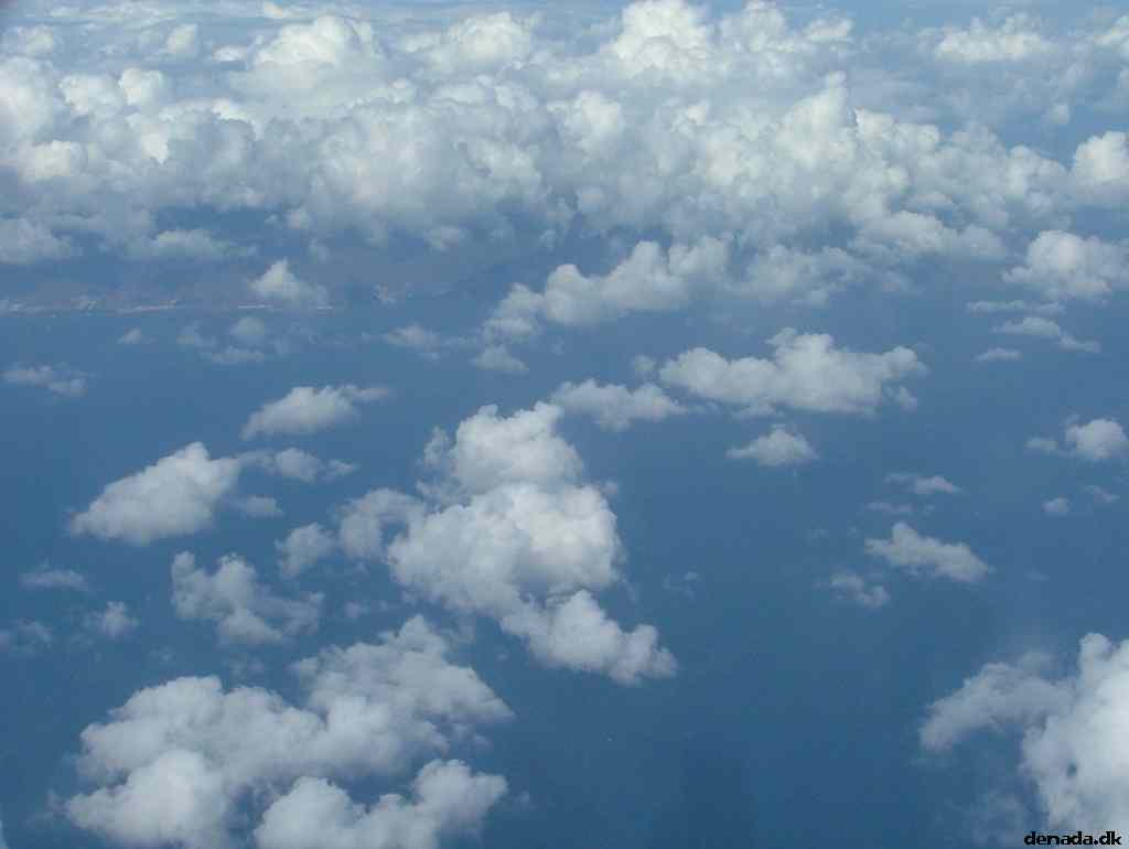 * Image 306