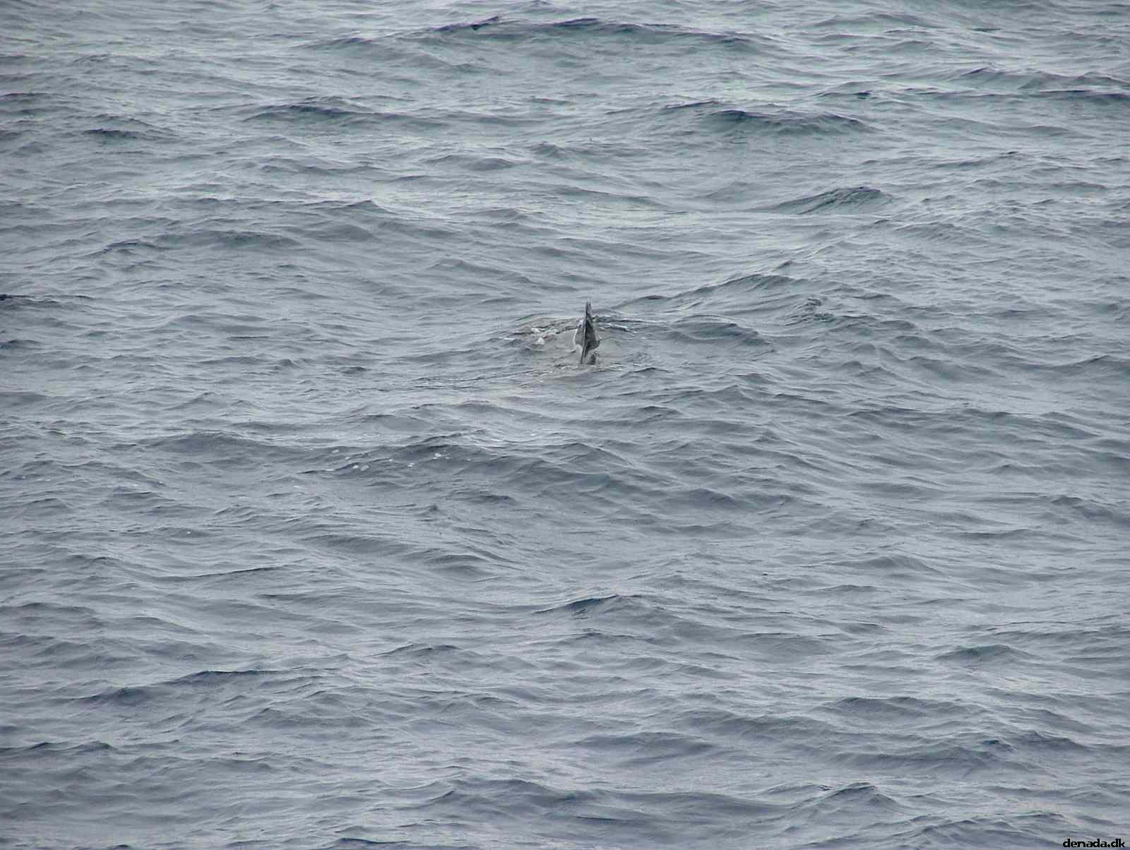 * Image 188