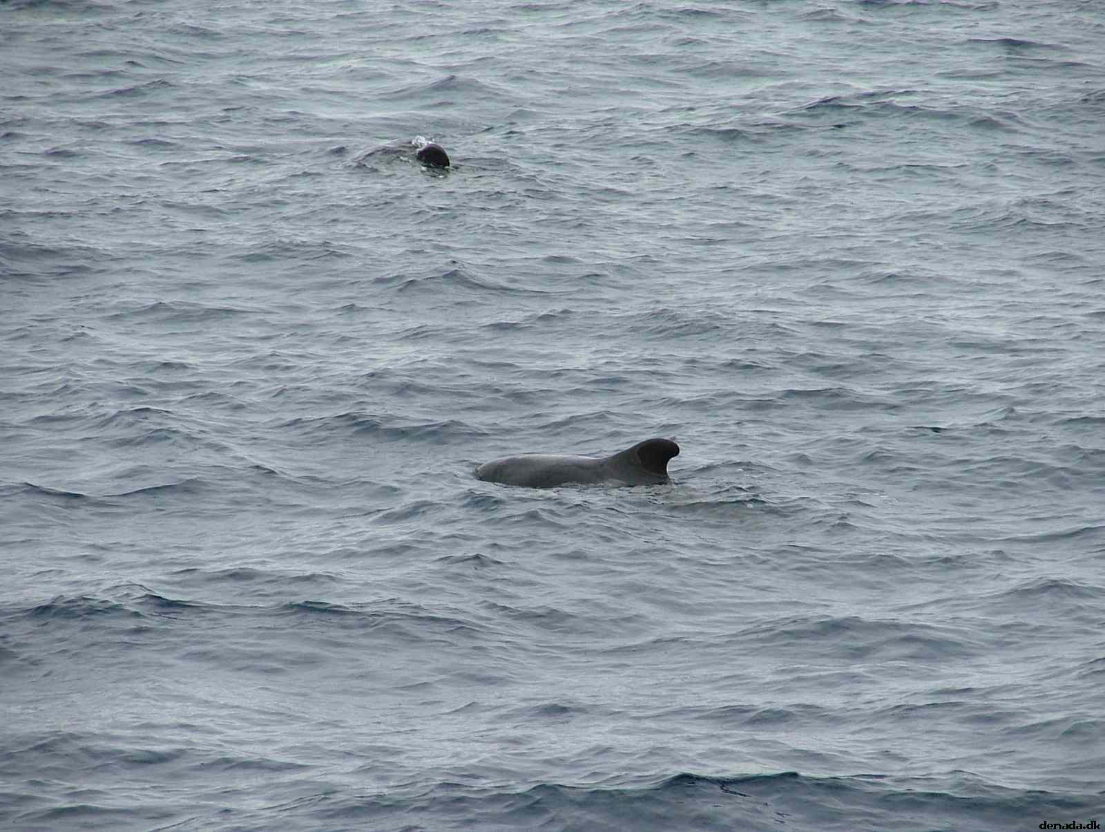 * Image 189