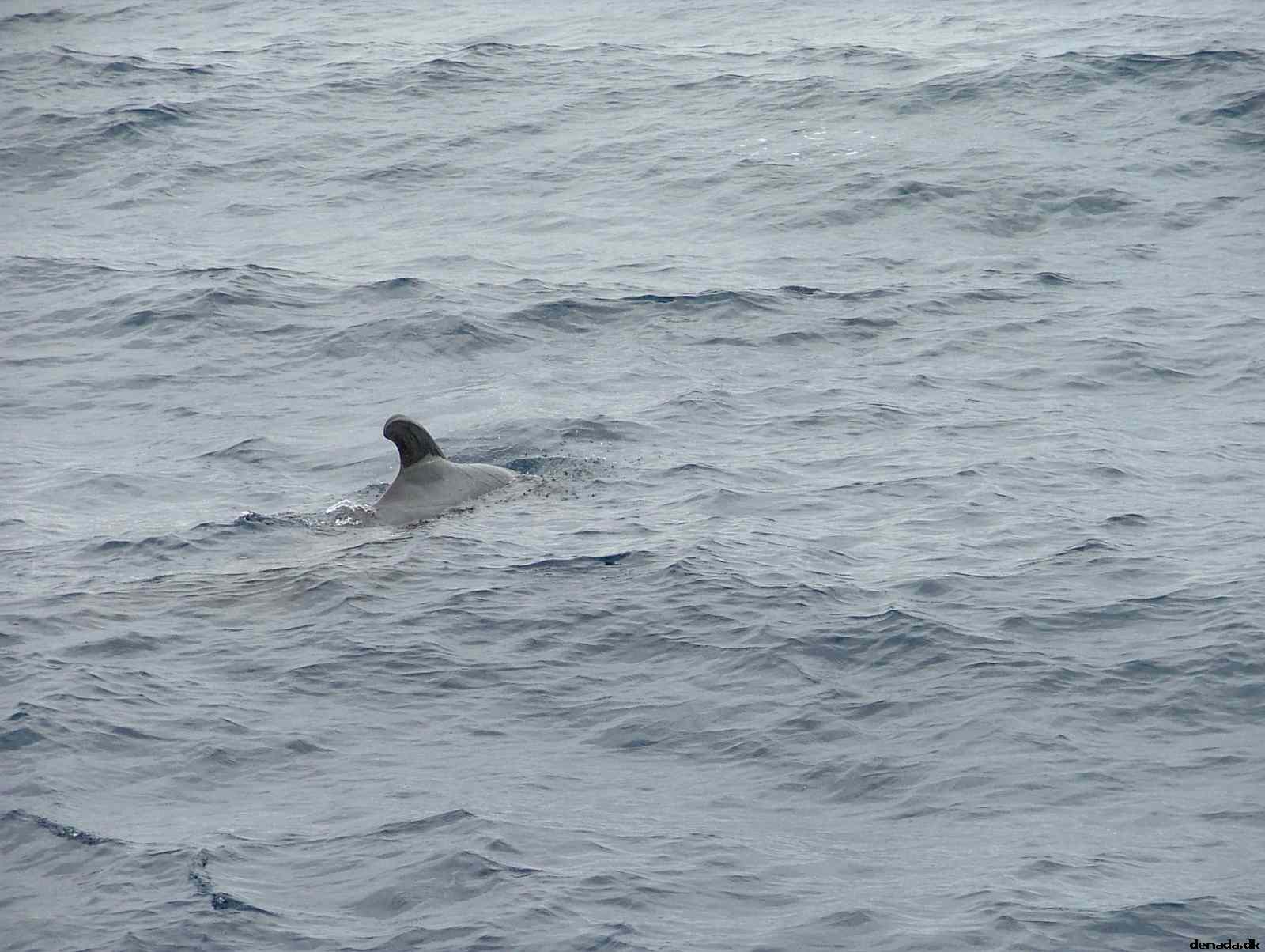 * Image 192