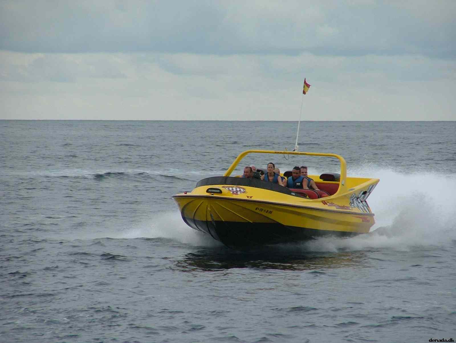 * Image 204
