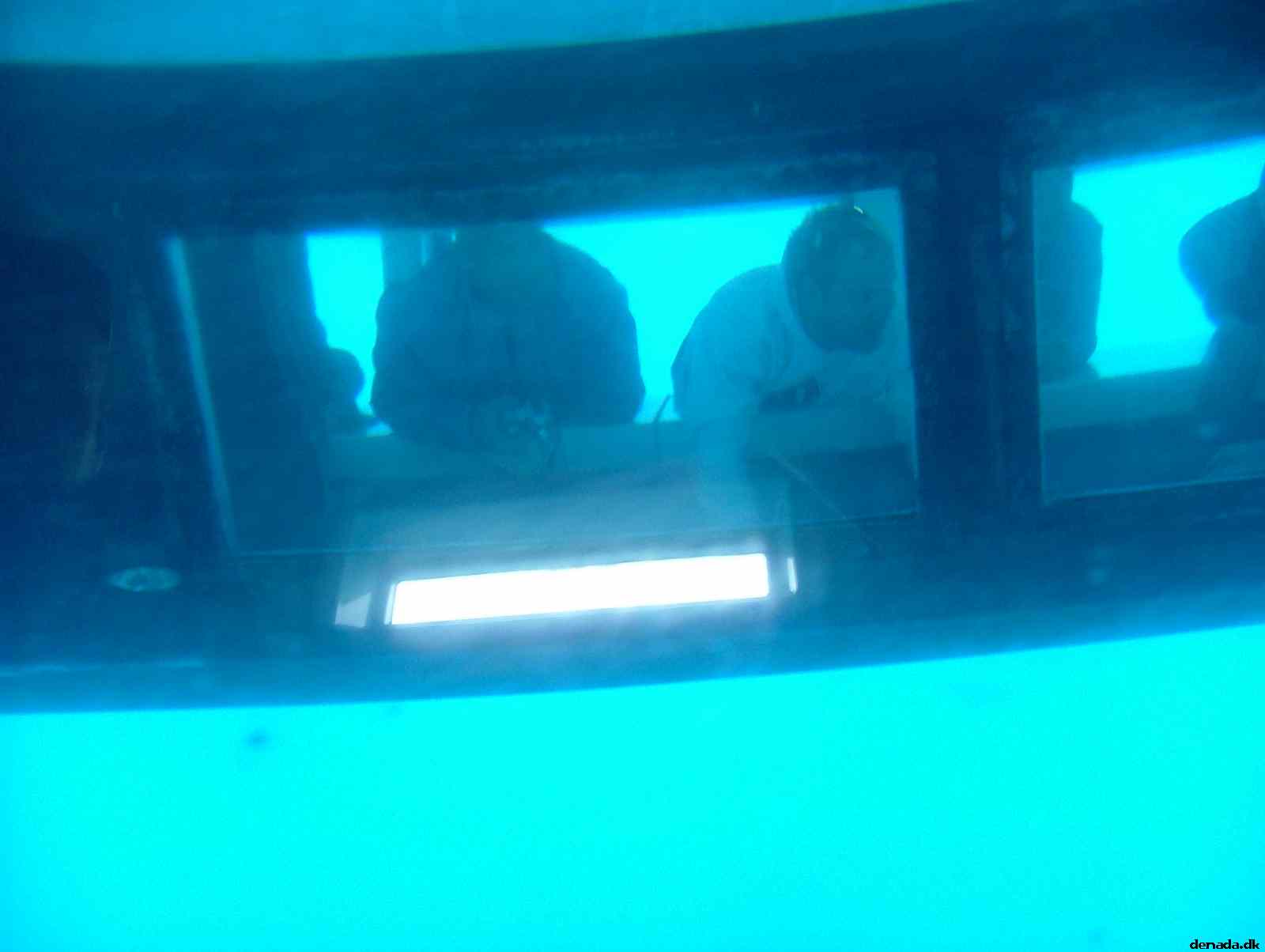 * Image 209