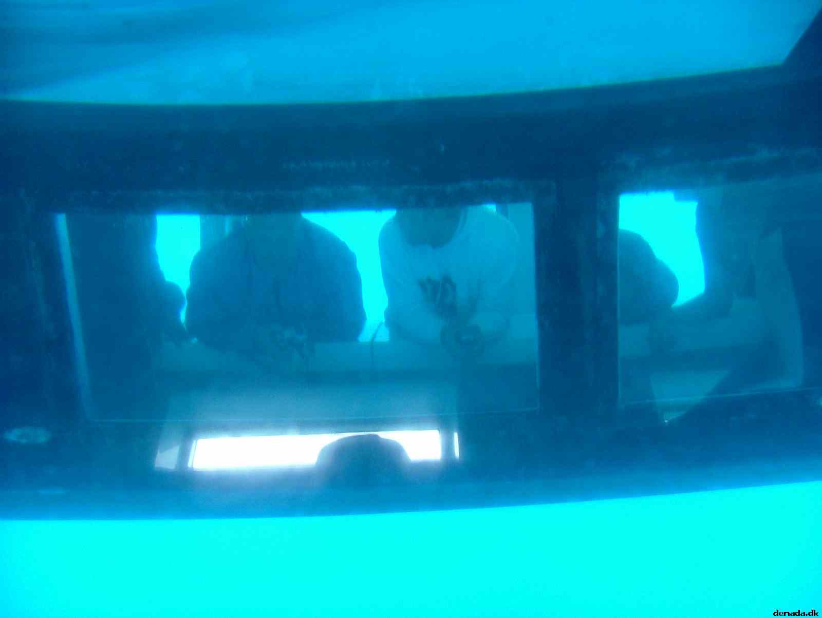 * Image 210