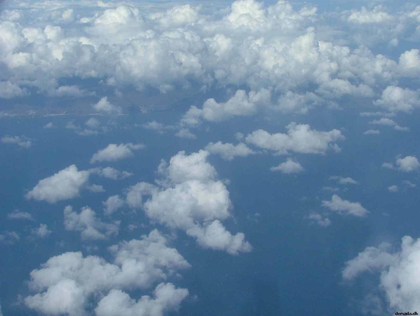 * Image 306