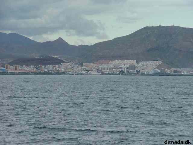 * Image 176