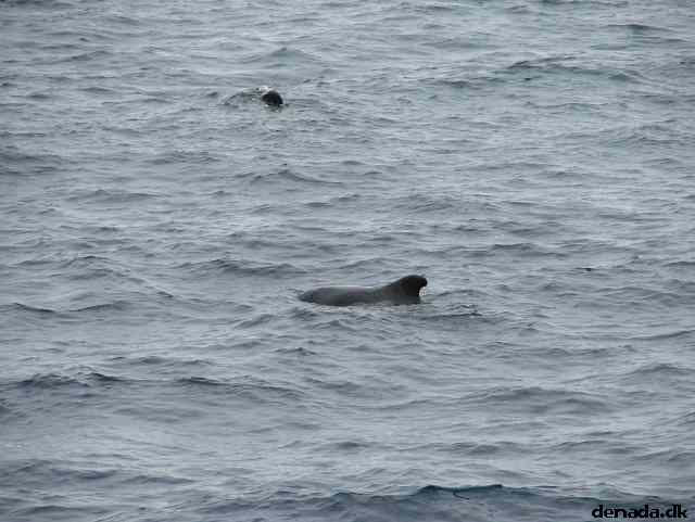 * Image 189