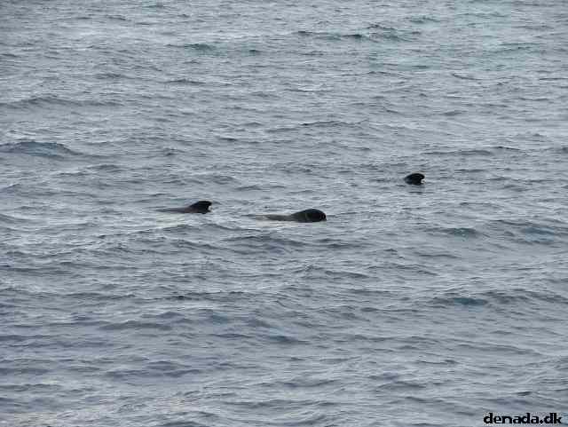 * Image 191