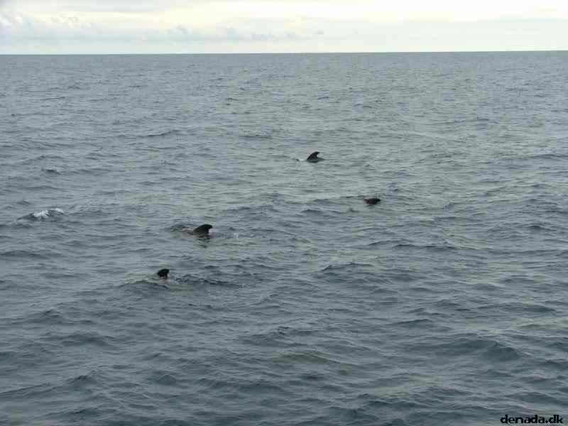 * Image 186