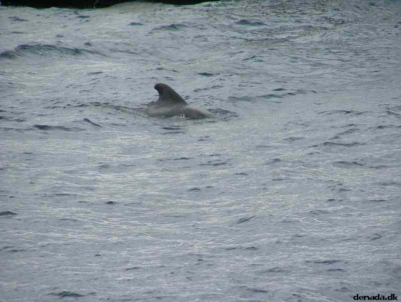 * Image 180