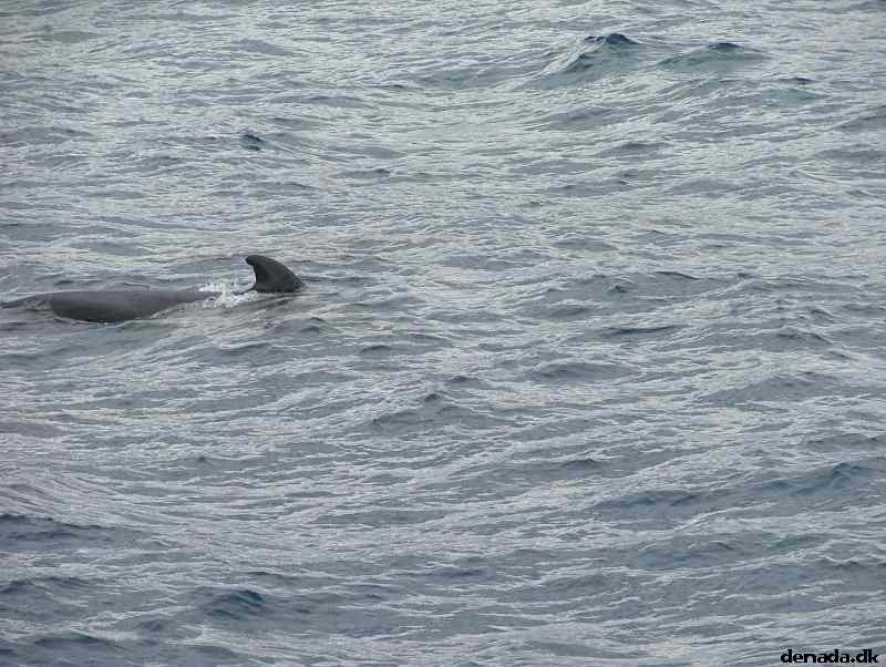 * Image 182