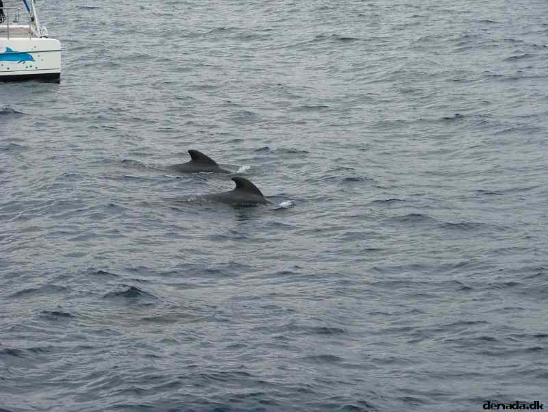 * Image 184