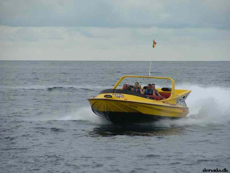 * Image 204