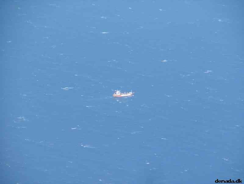 * Image 290