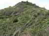 Tenerife_082.jpg - 2007:01:27 12:29:43