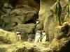 Tenerife_112.jpg - 2007:01:27 13:51:21