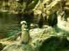 Tenerife_114.jpg - 2007:01:27 13:51:55