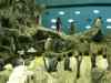 Tenerife_127.jpg - 2007:01:27 13:55:00