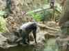 Tenerife_169.jpg - 2007:01:27 14:14:11