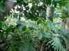 Tenerife_172.jpg - 2007:01:27 14:21:23
