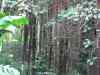 Tenerife_180.jpg - 2007:01:27 14:25:27