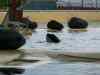 Tenerife_215.jpg - 2007:01:27 14:50:56
