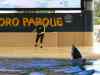 Tenerife_220.jpg - 2007:01:27 14:59:42