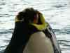 Tenerife_245.jpg - 2007:01:27 15:04:48