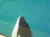 Tenerife_287.jpg - 2007:01:27 15:21:36
