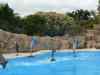 Tenerife_301.jpg - 2007:01:27 15:46:43