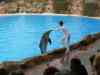 Tenerife_309.jpg - 2007:01:27 15:49:58