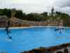 Tenerife_320.jpg - 2007:01:27 15:54:25