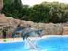 Tenerife_322.jpg - 2007:01:27 15:55:30