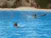 Tenerife_323.jpg - 2007:01:27 15:56:28