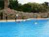 Tenerife_334.jpg - 2007:01:27 15:59:58