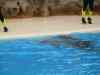 Tenerife_335.jpg - 2007:01:27 16:00:03