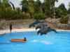 Tenerife_348.jpg - 2007:01:27 16:03:12
