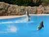 Tenerife_356.jpg - 2007:01:27 16:05:02